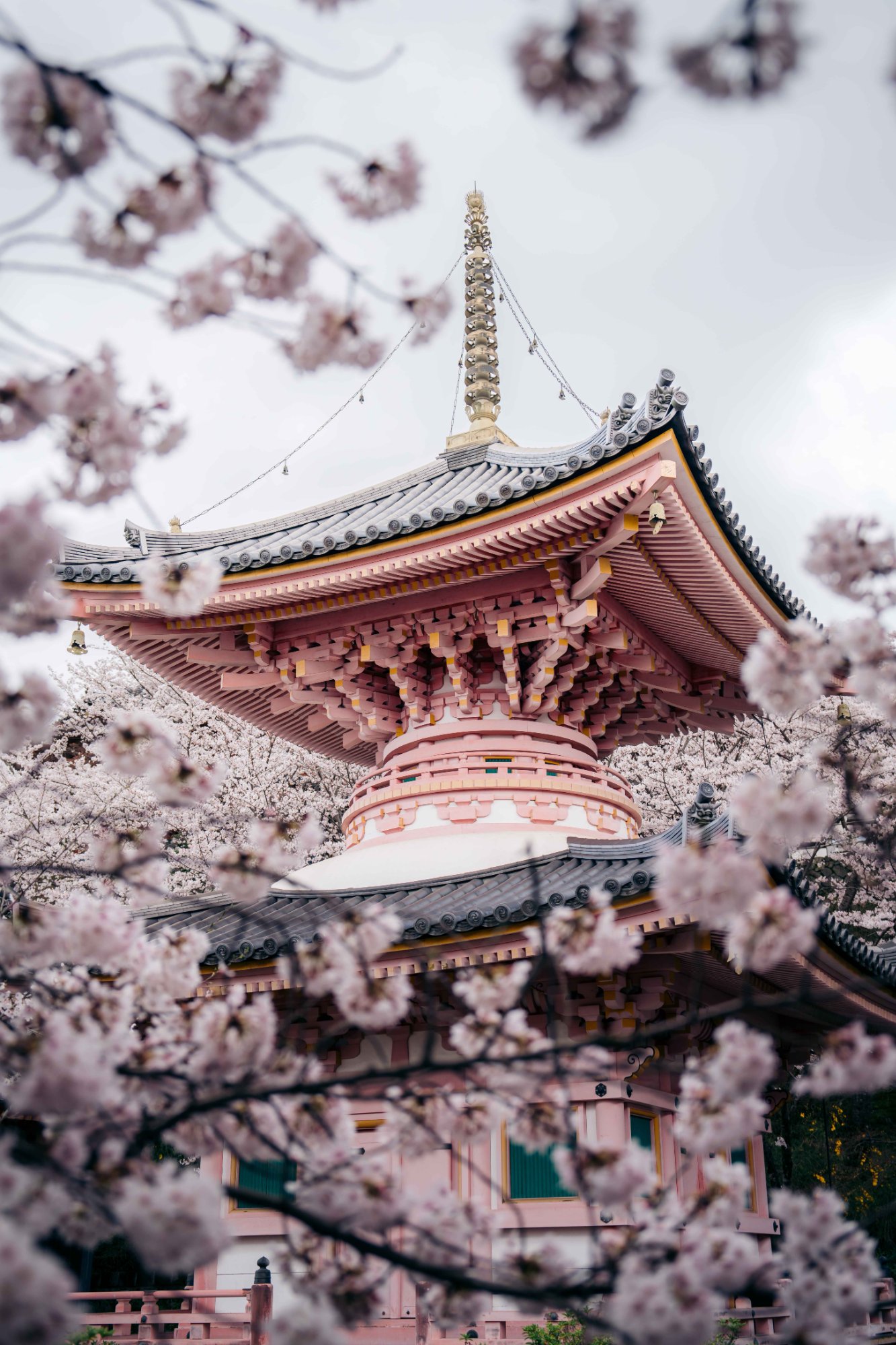 Japan print 15