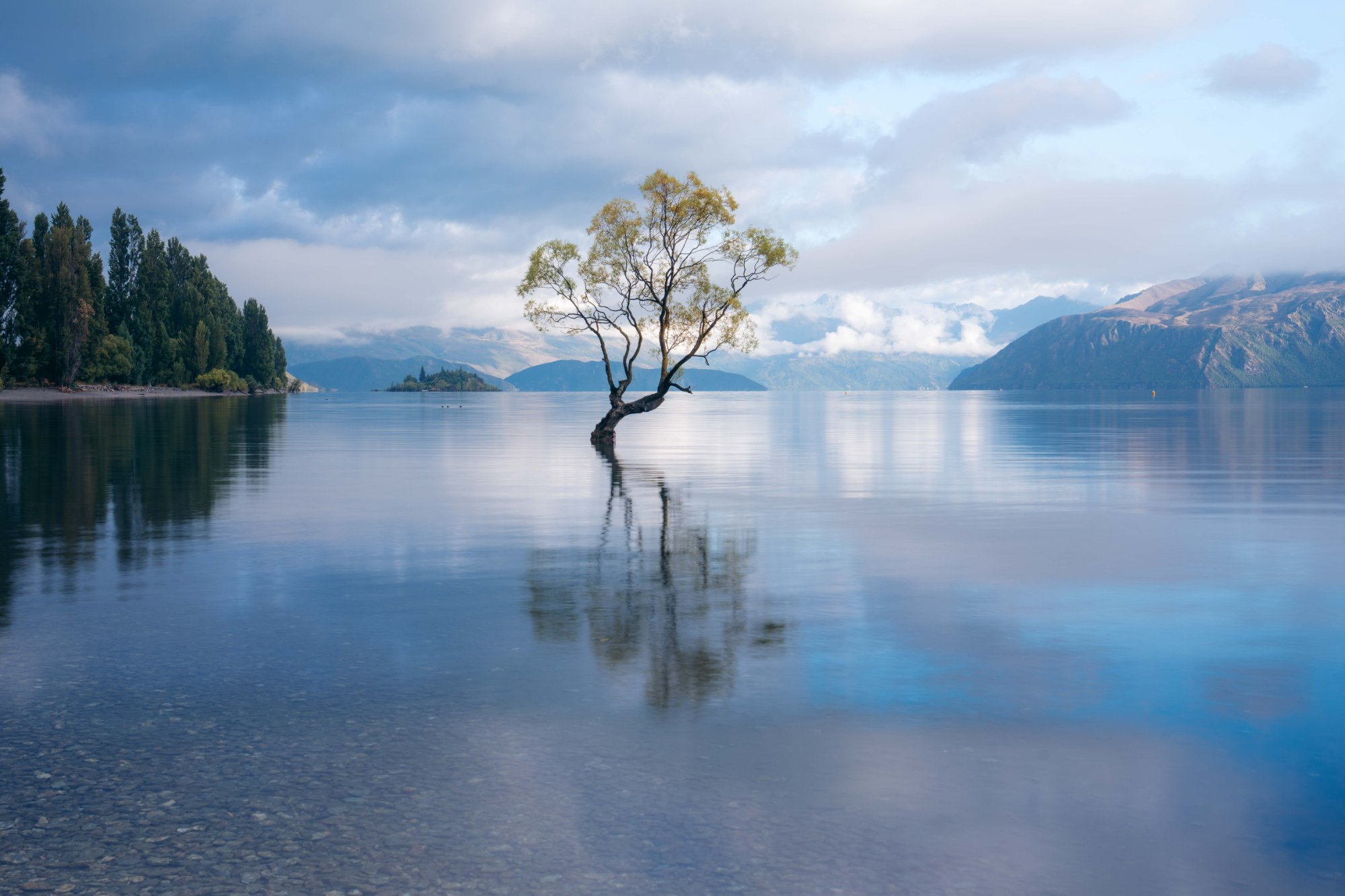 New Zealand print 6