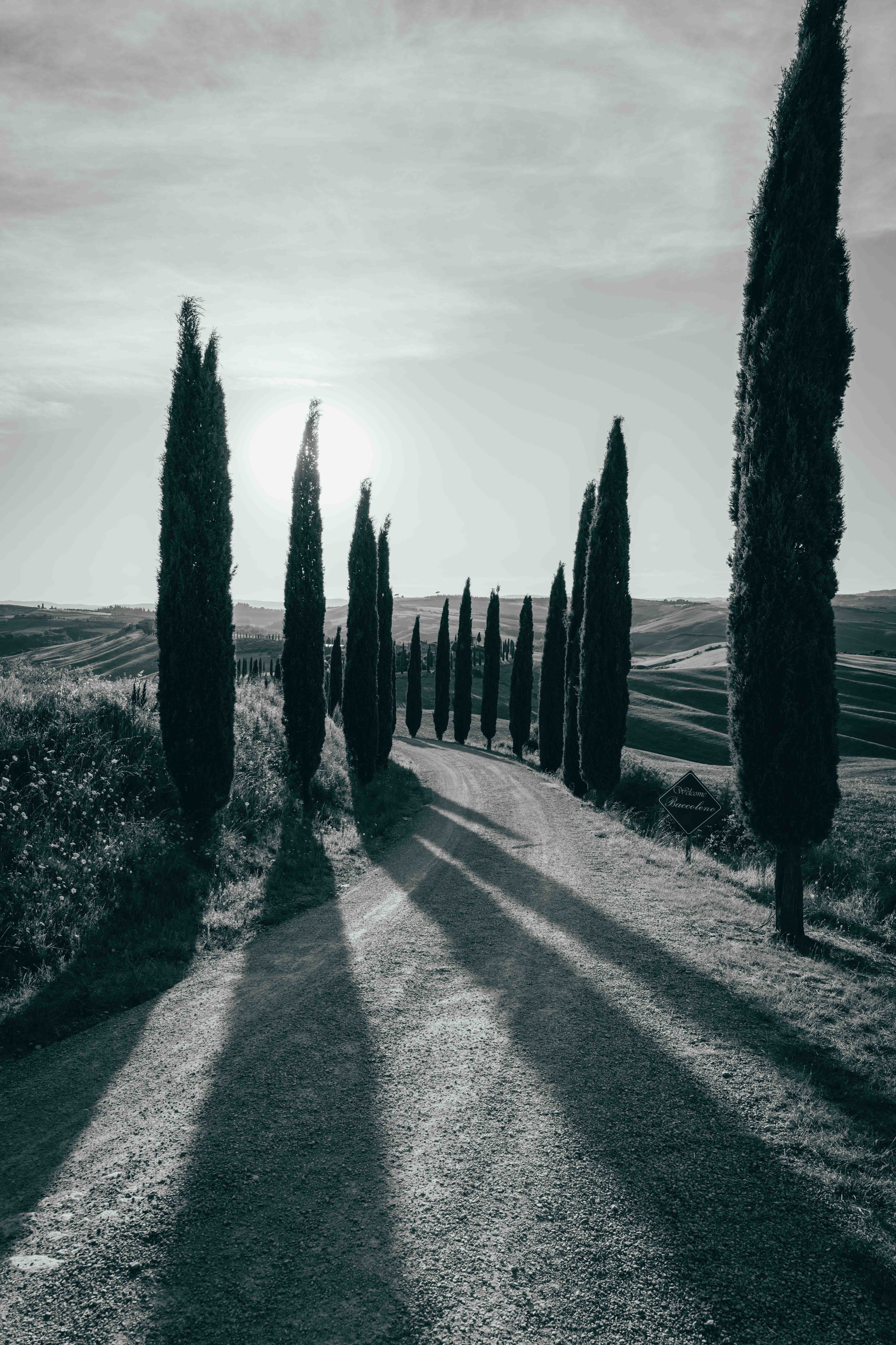Italy print 22