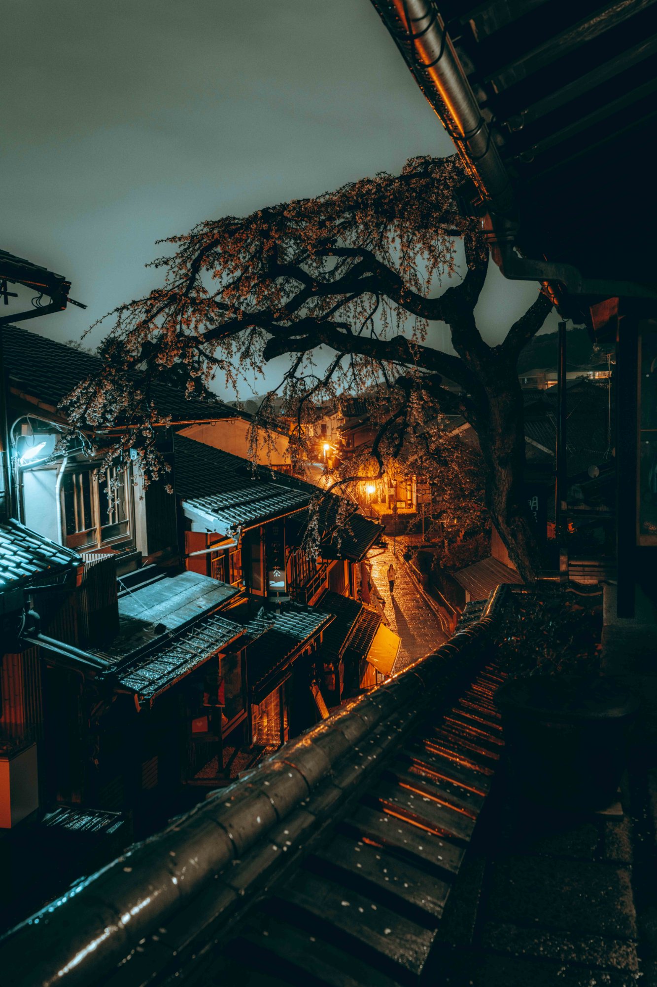 Japan print 11