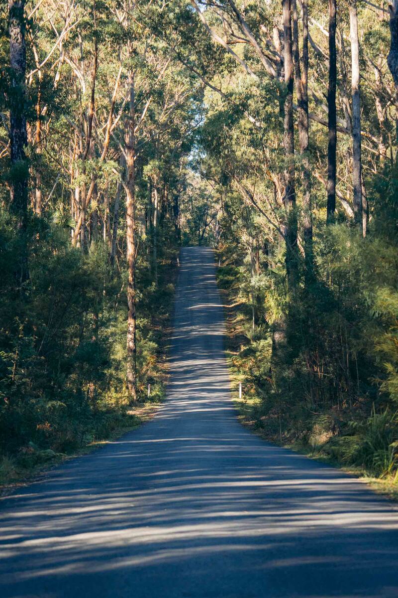 Beyond Sydney print 22