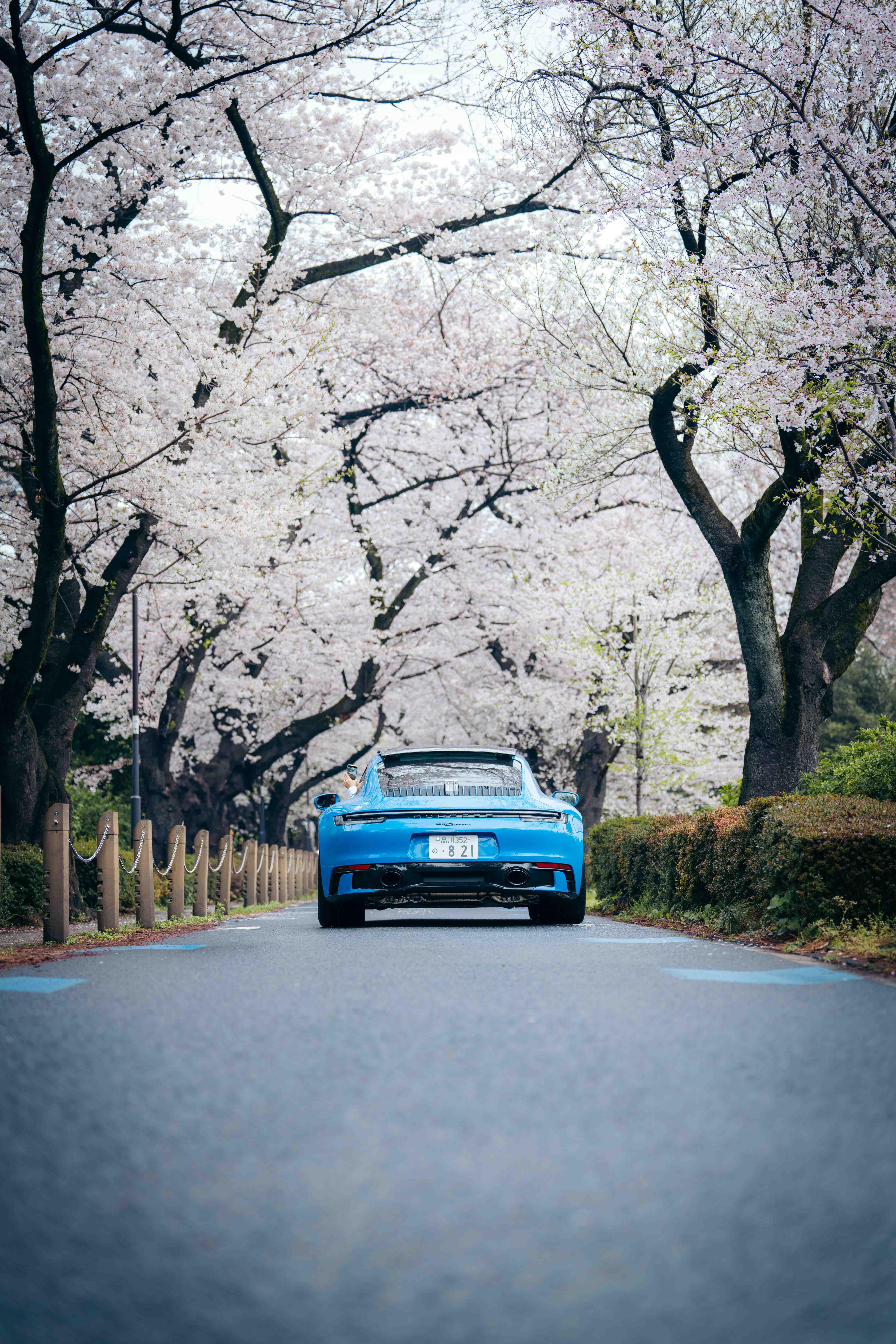Japan print 25