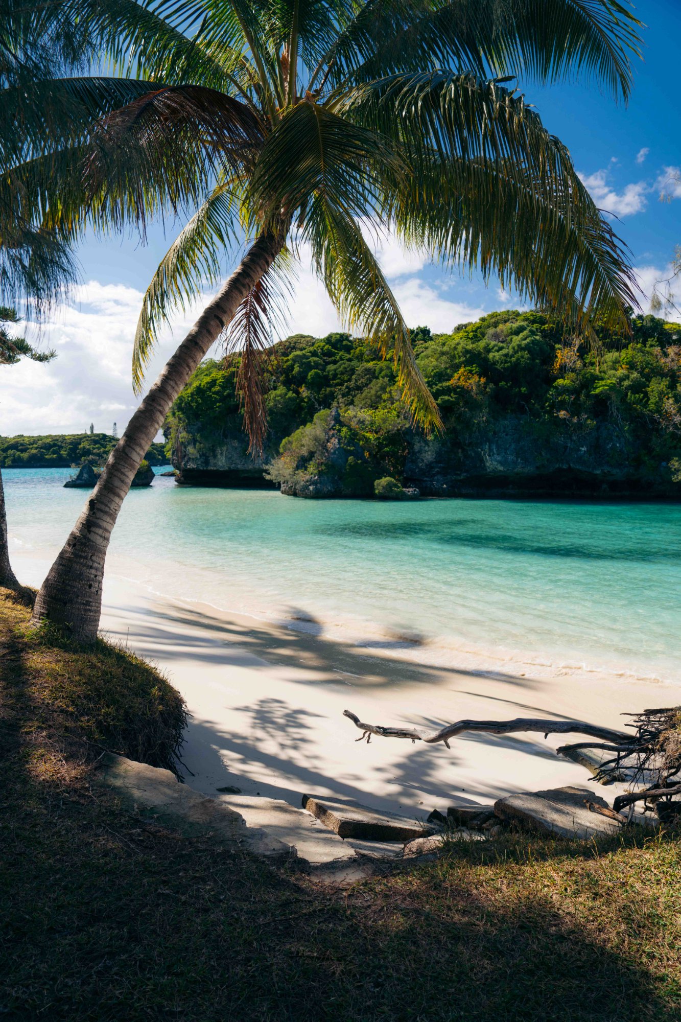 New Caledonia print 8
