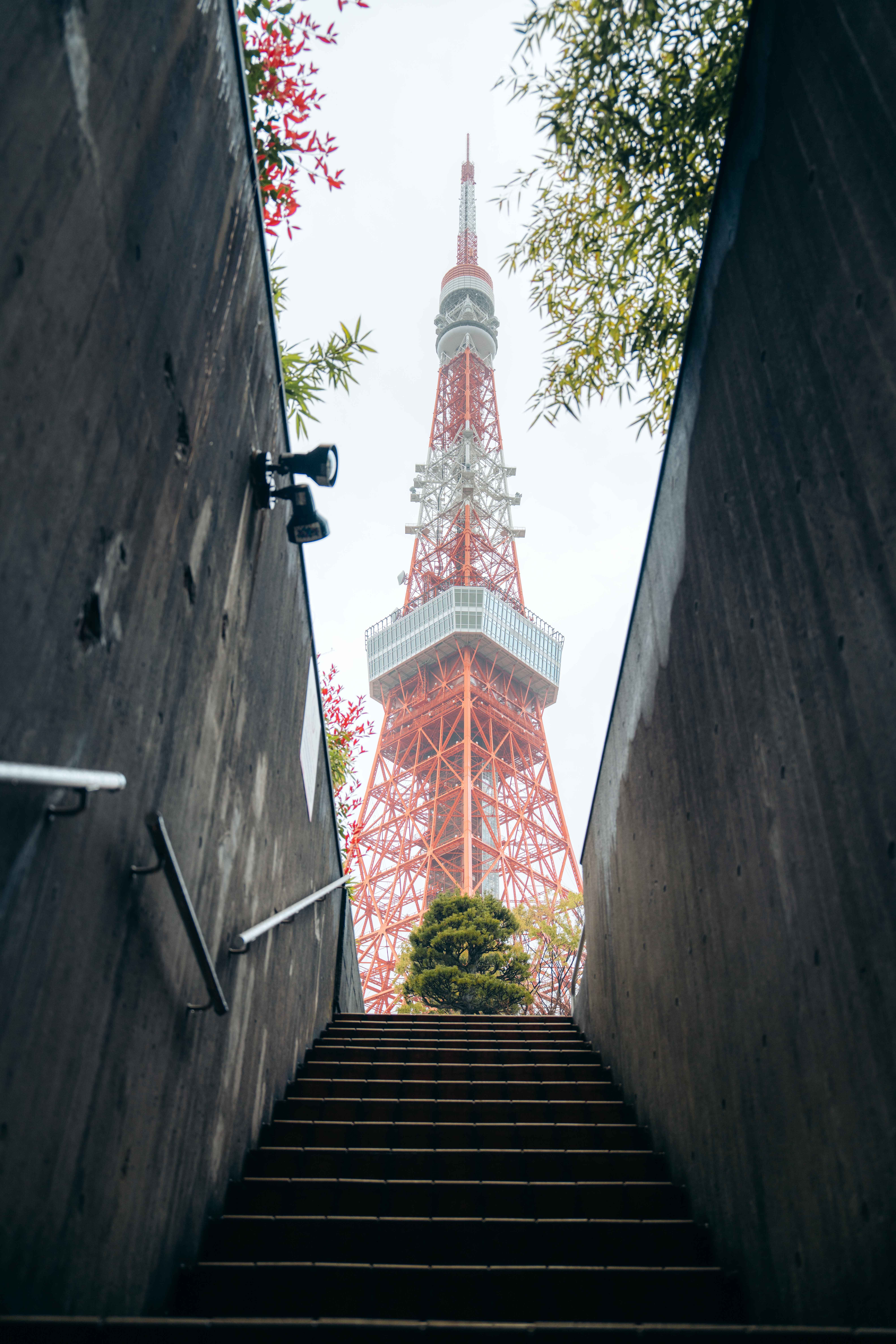 Japan print 24