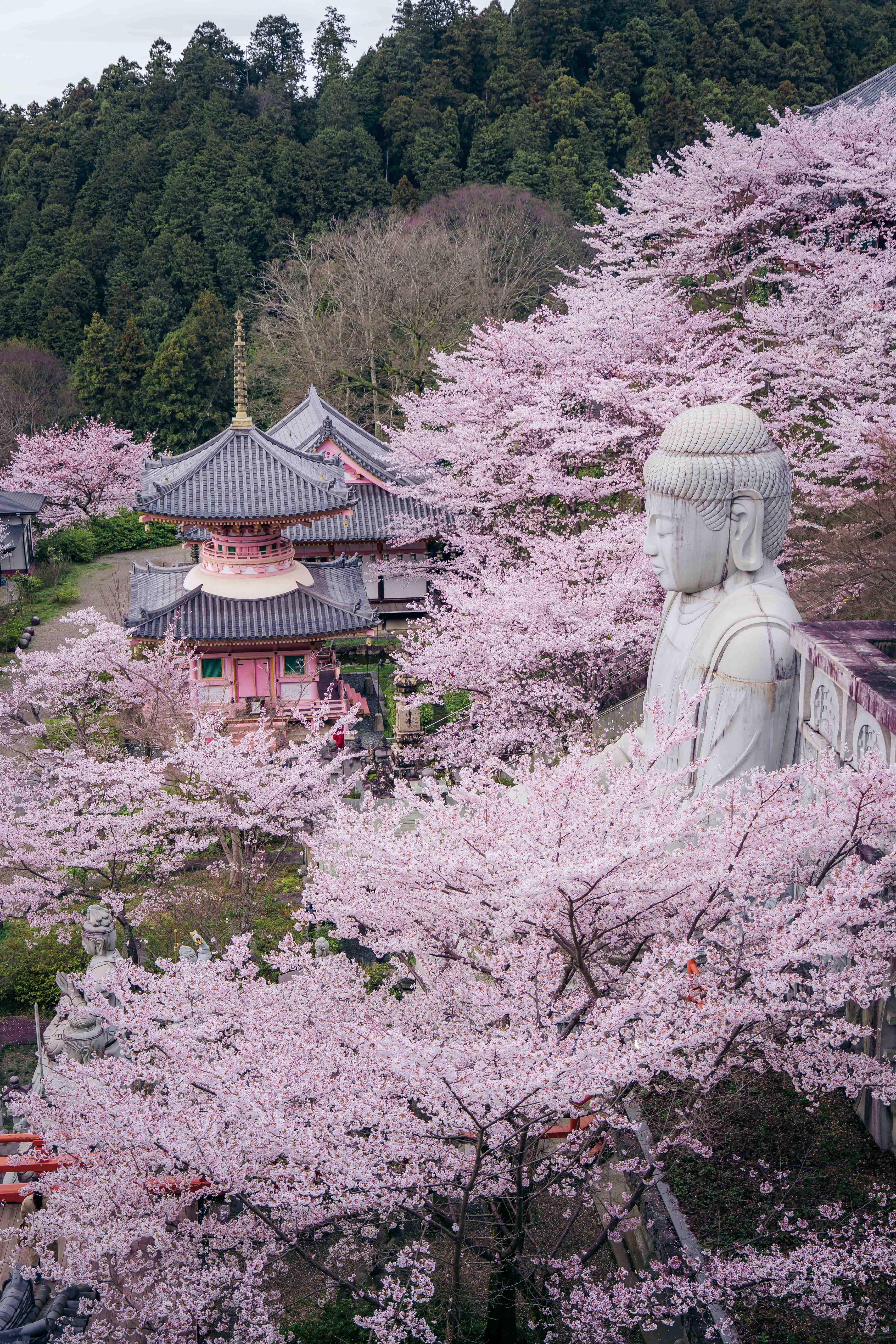 Japan print 17