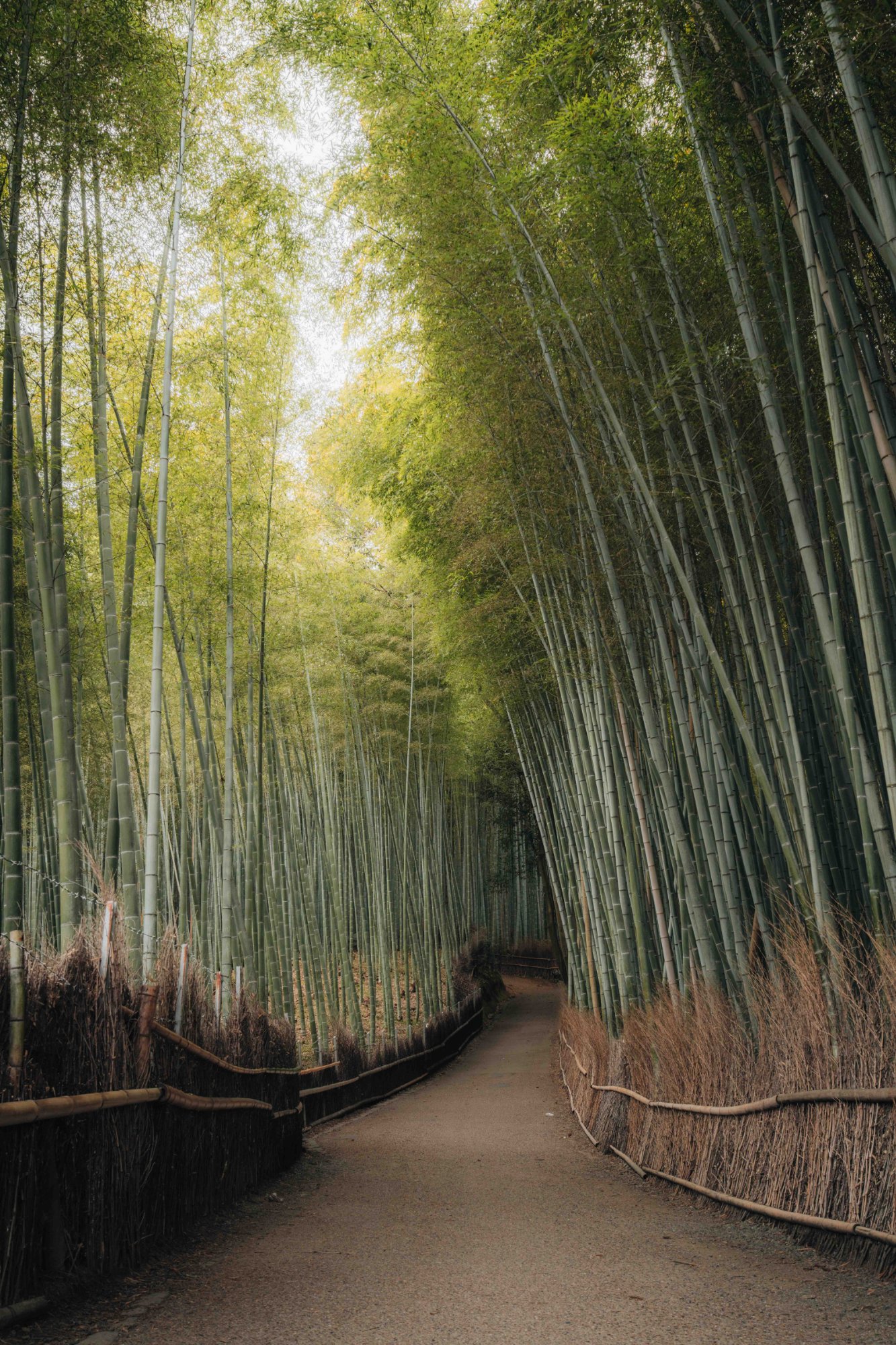 Japan print 10