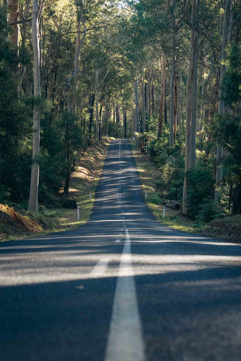 Beyond Sydney print 23
