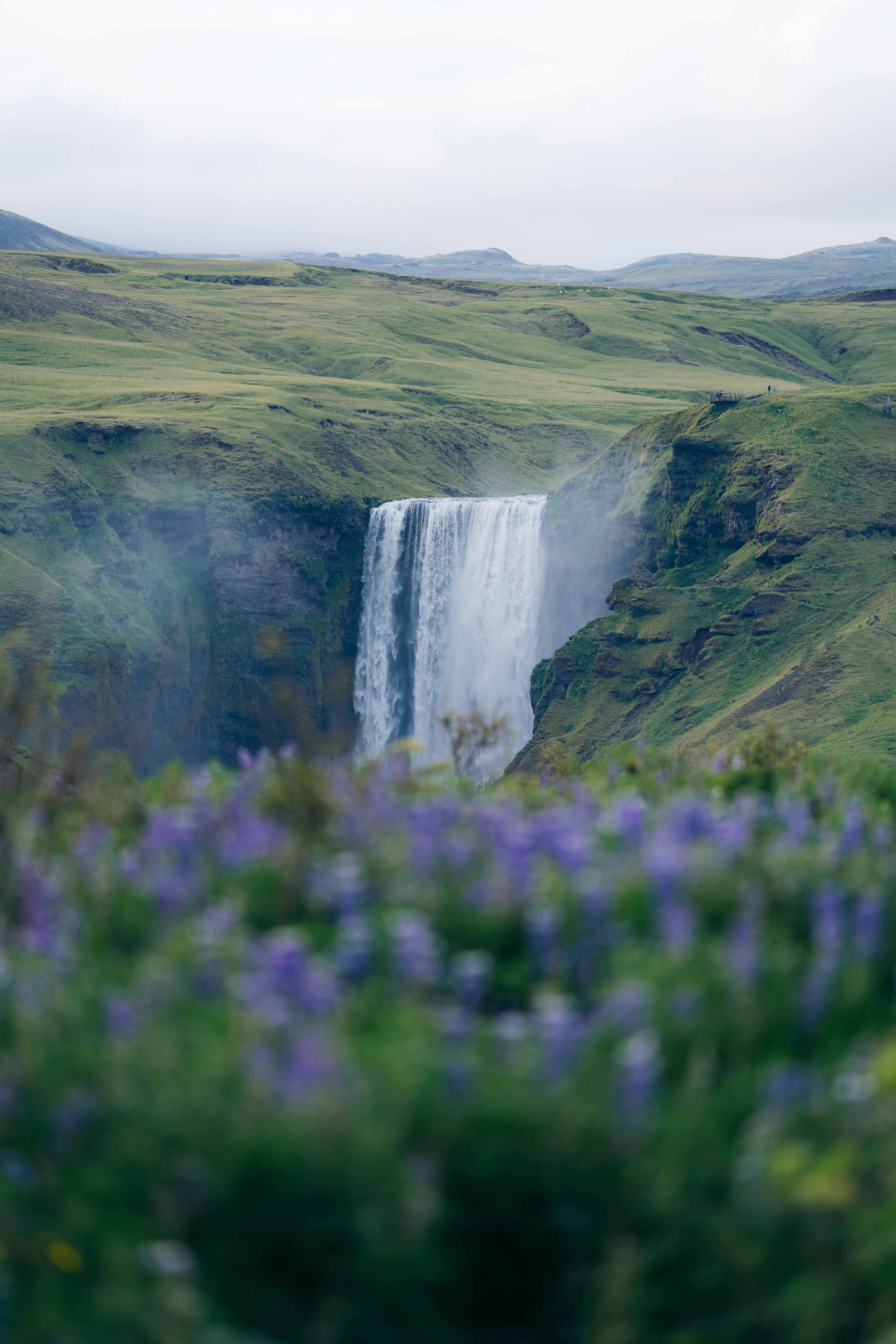 Iceland print 14