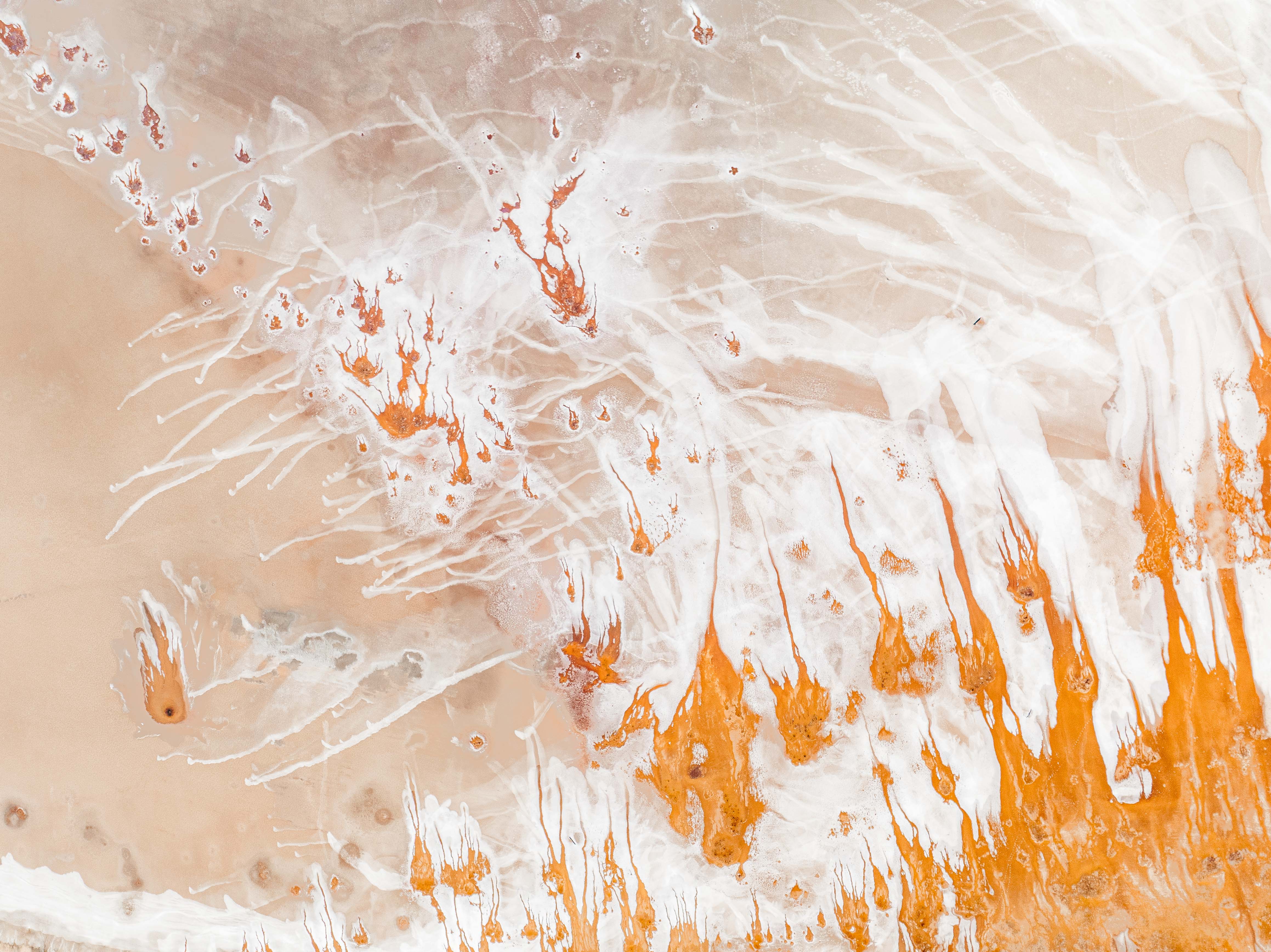 Abstract print 23