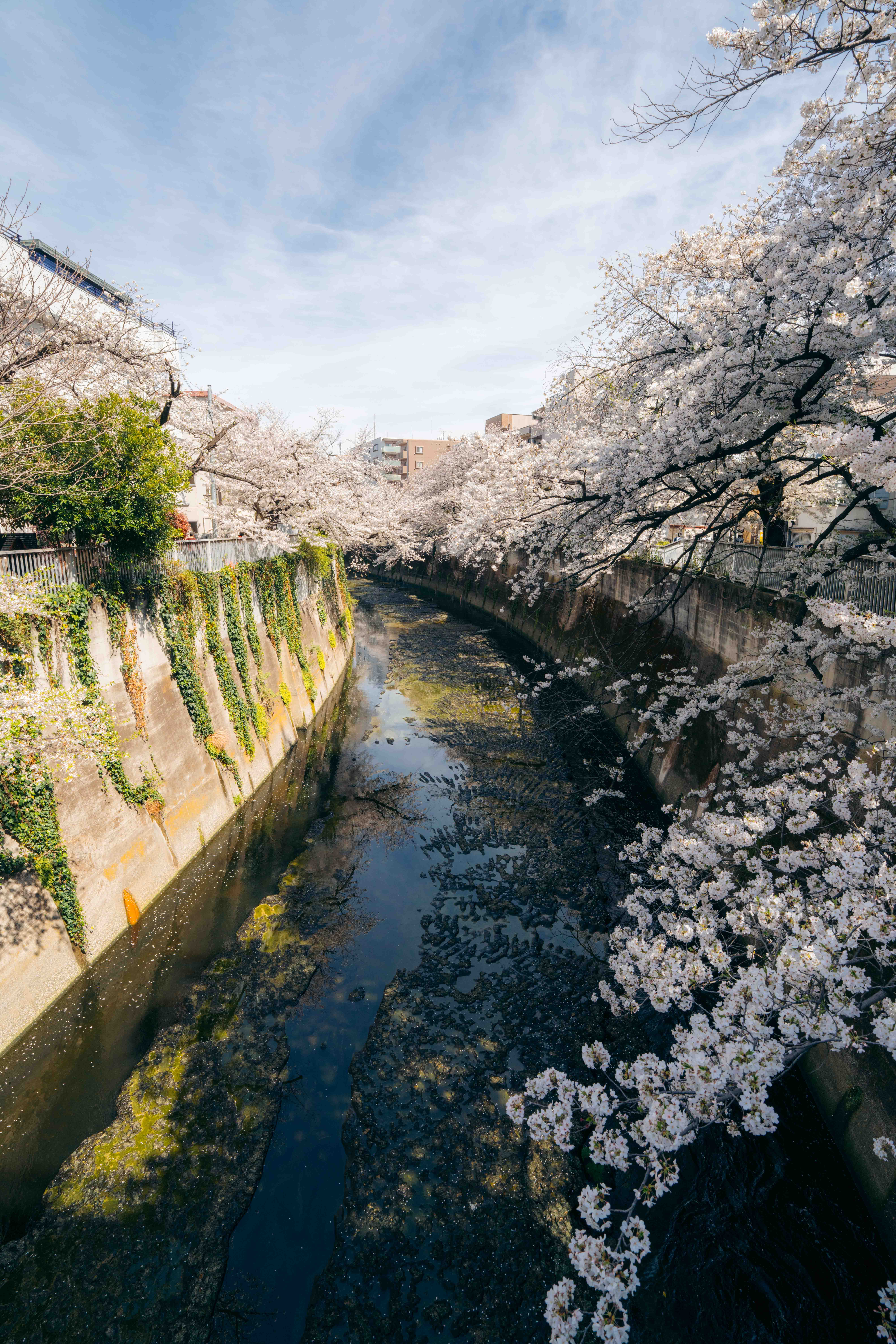 Japan print 27
