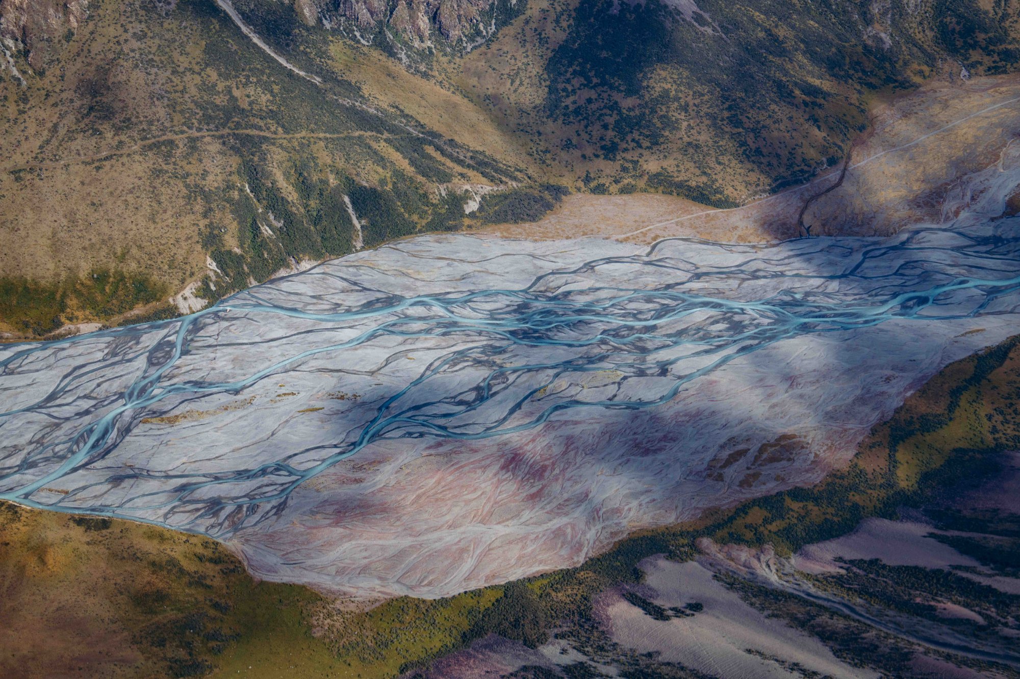 New Zealand print 7