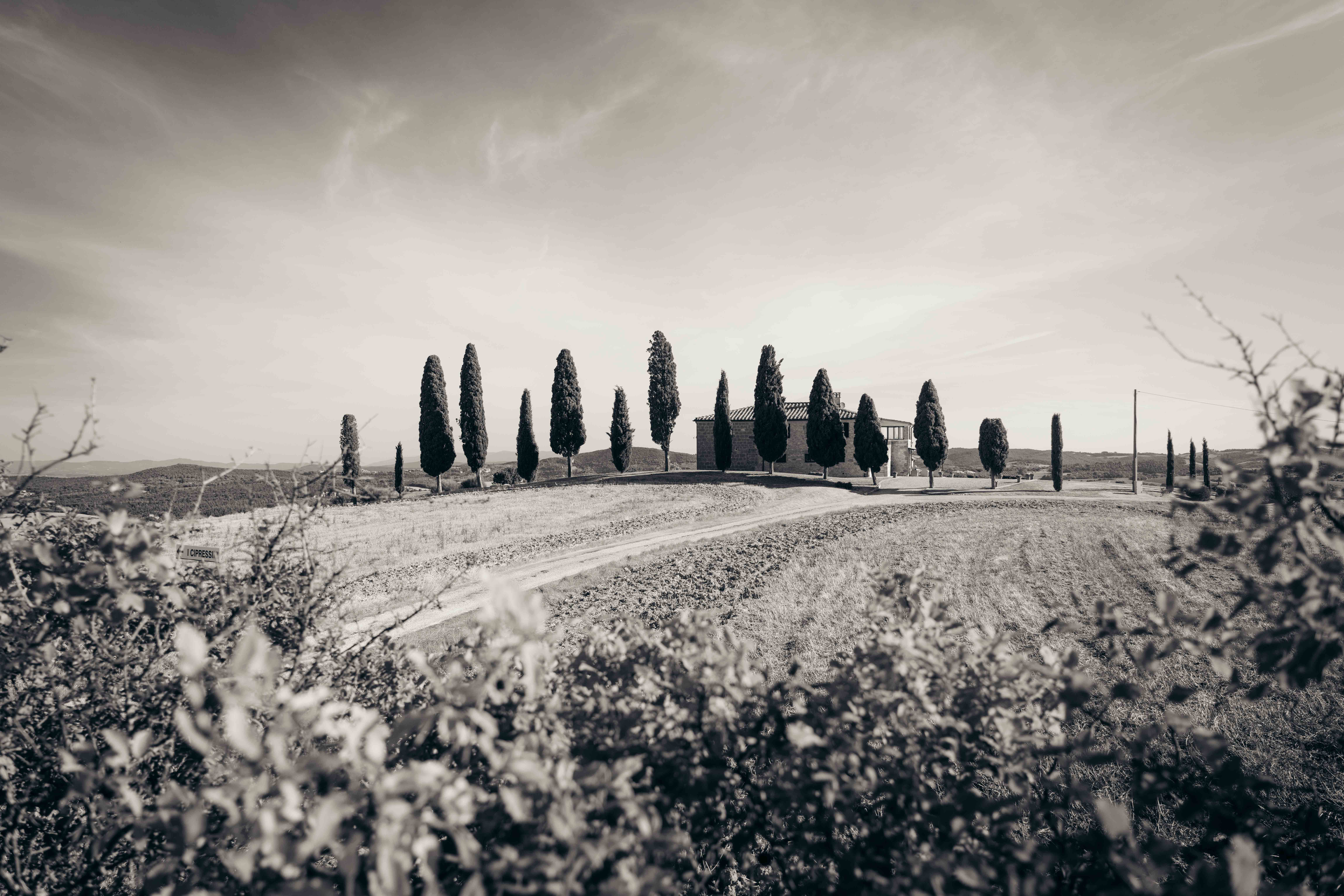 Italy print 23