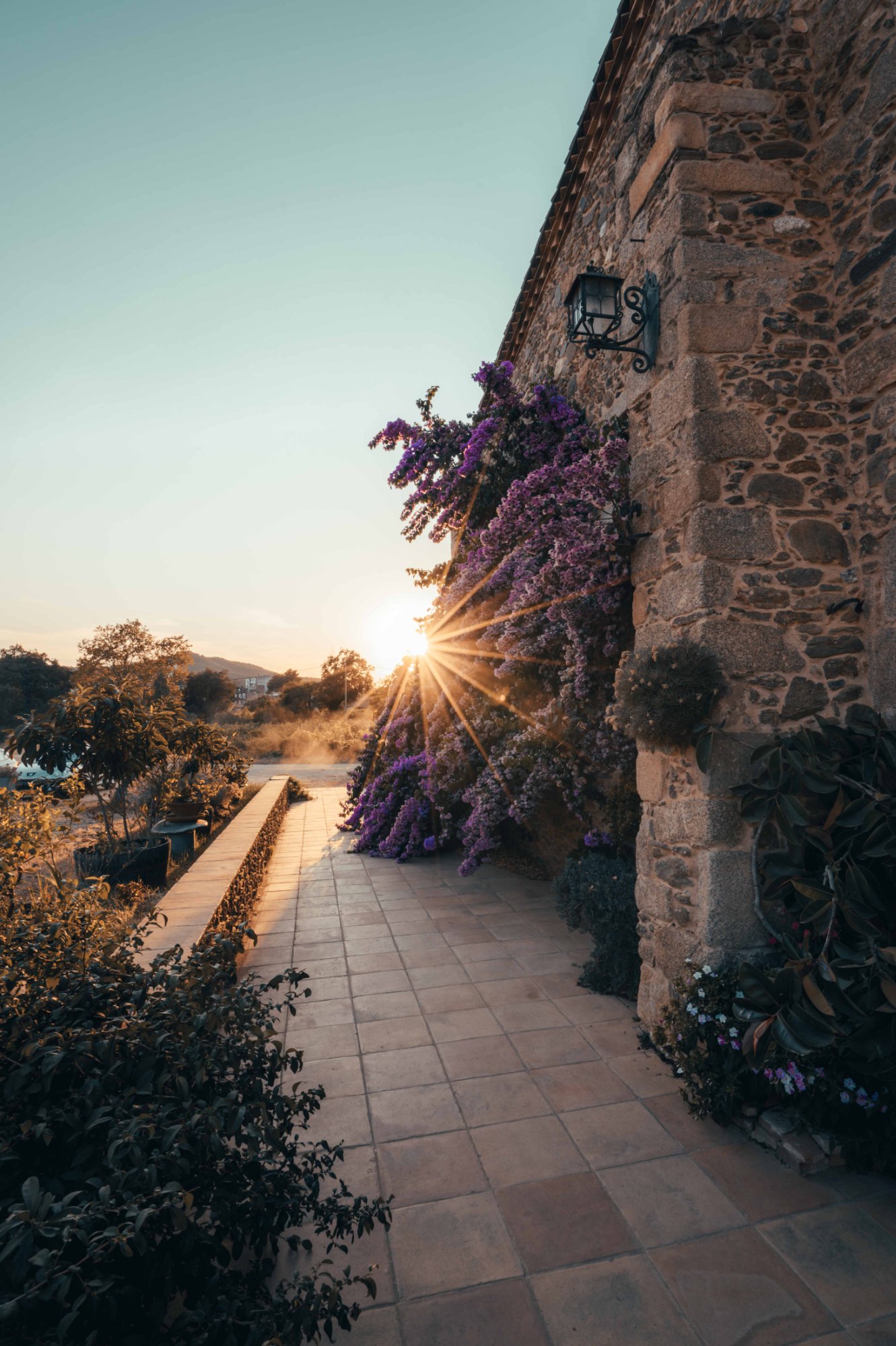 Spain print 5