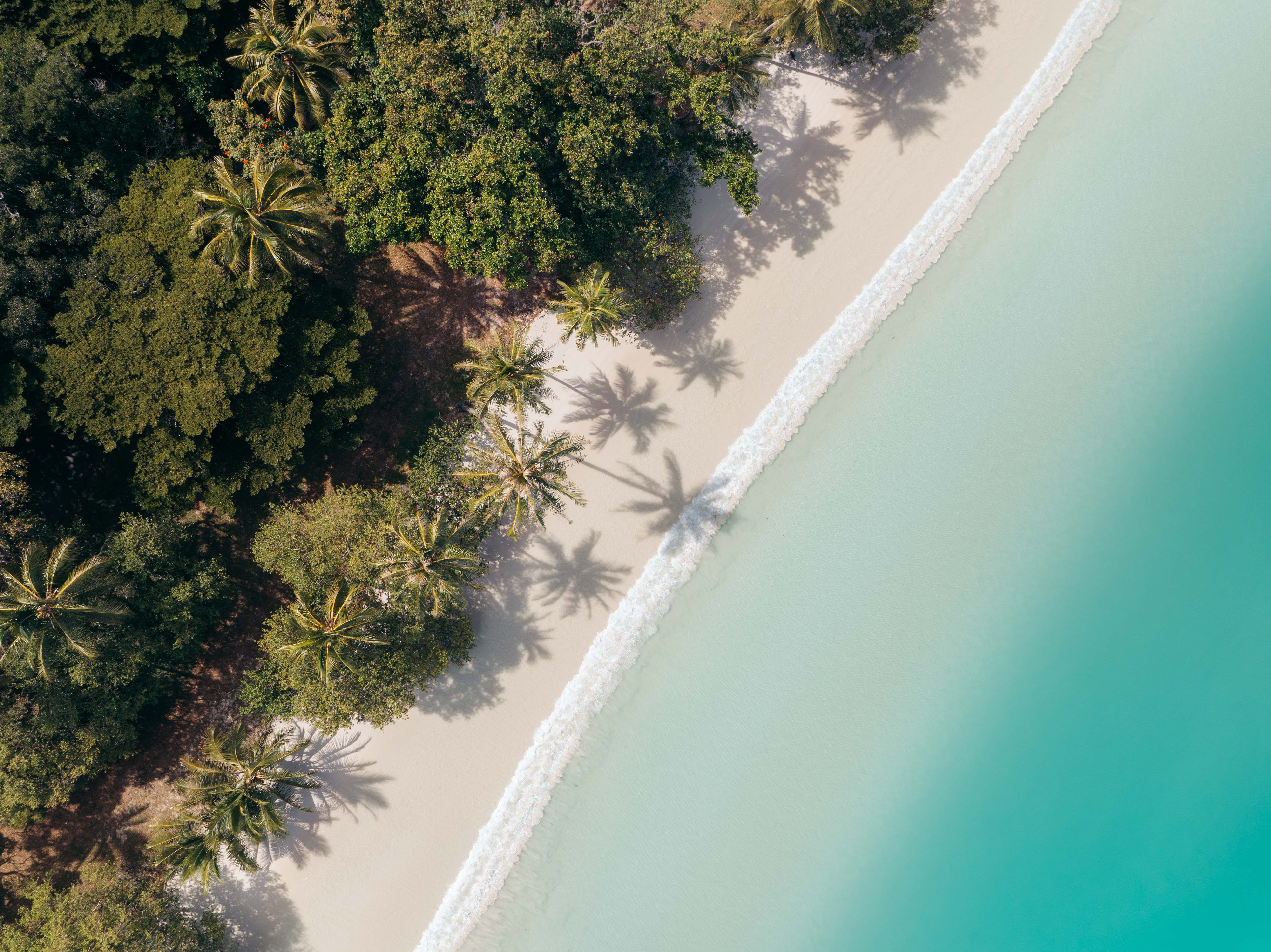 New Caledonia print 6