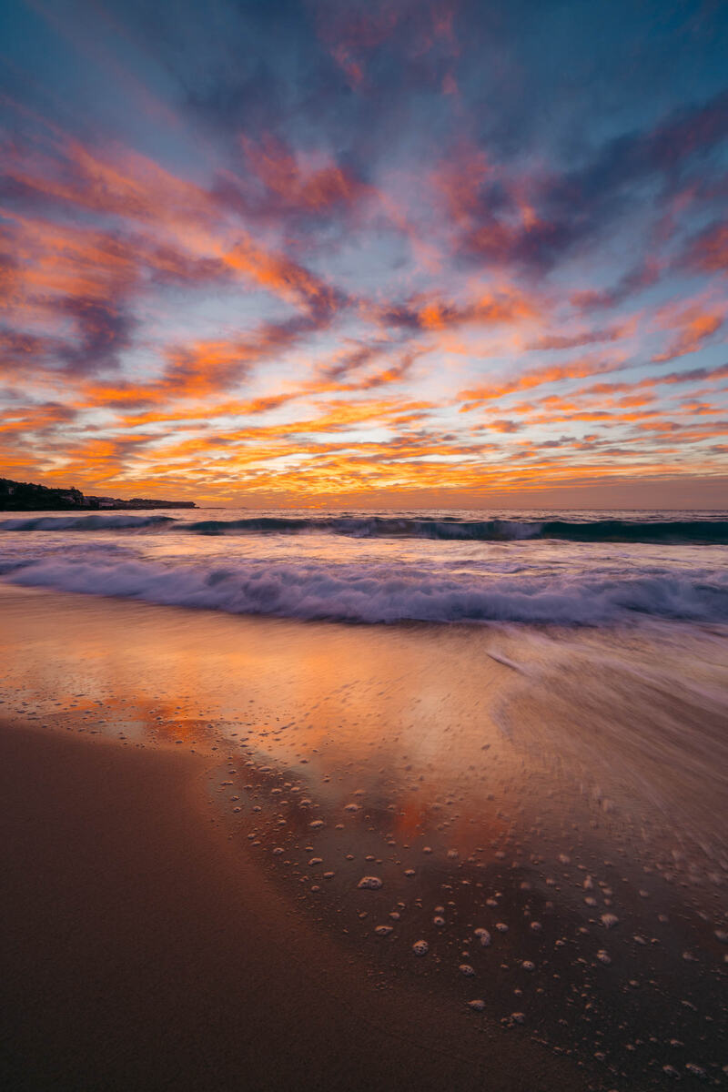 Coogee print 15
