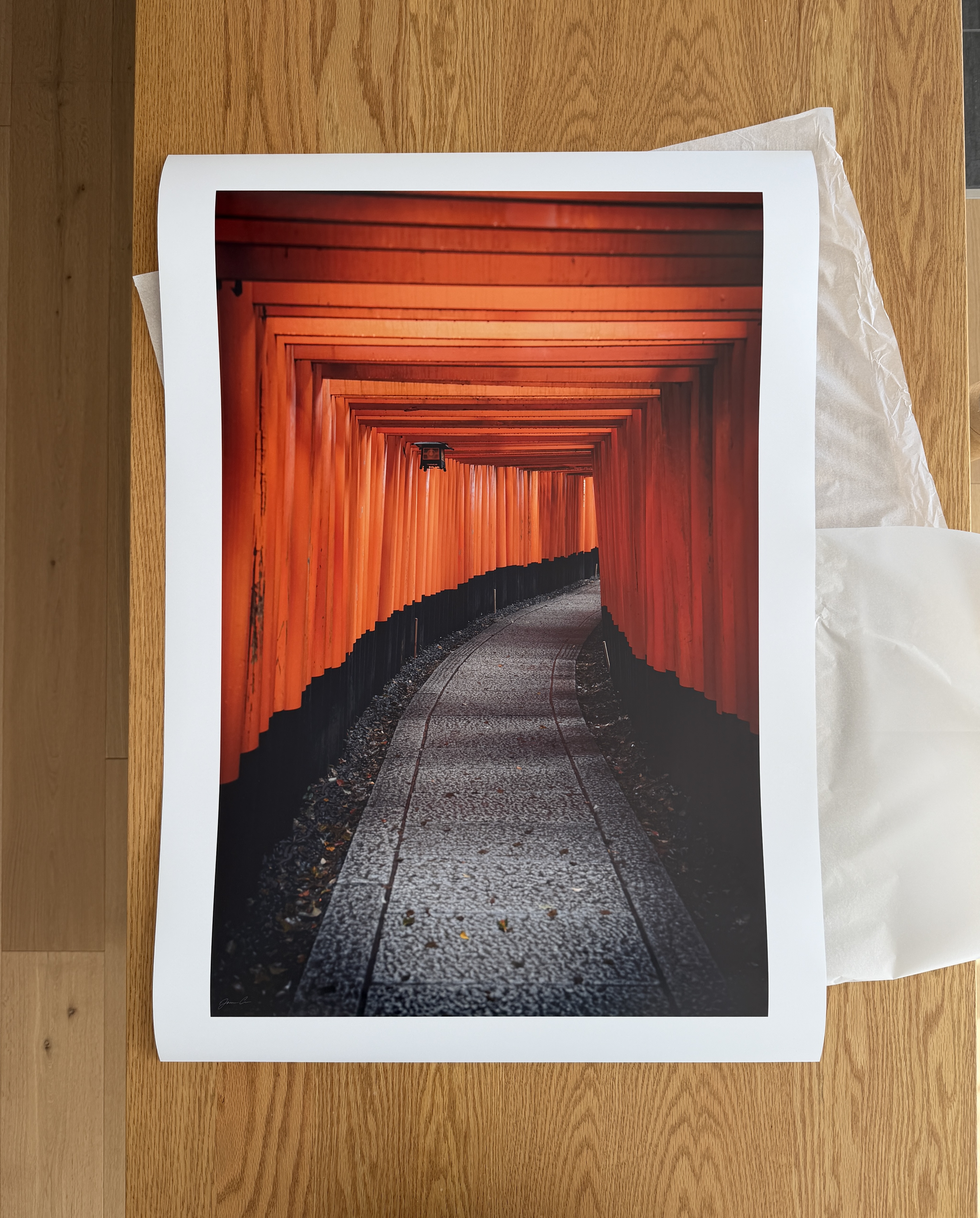 An unframed print rolled with tissue paper ready for shipping