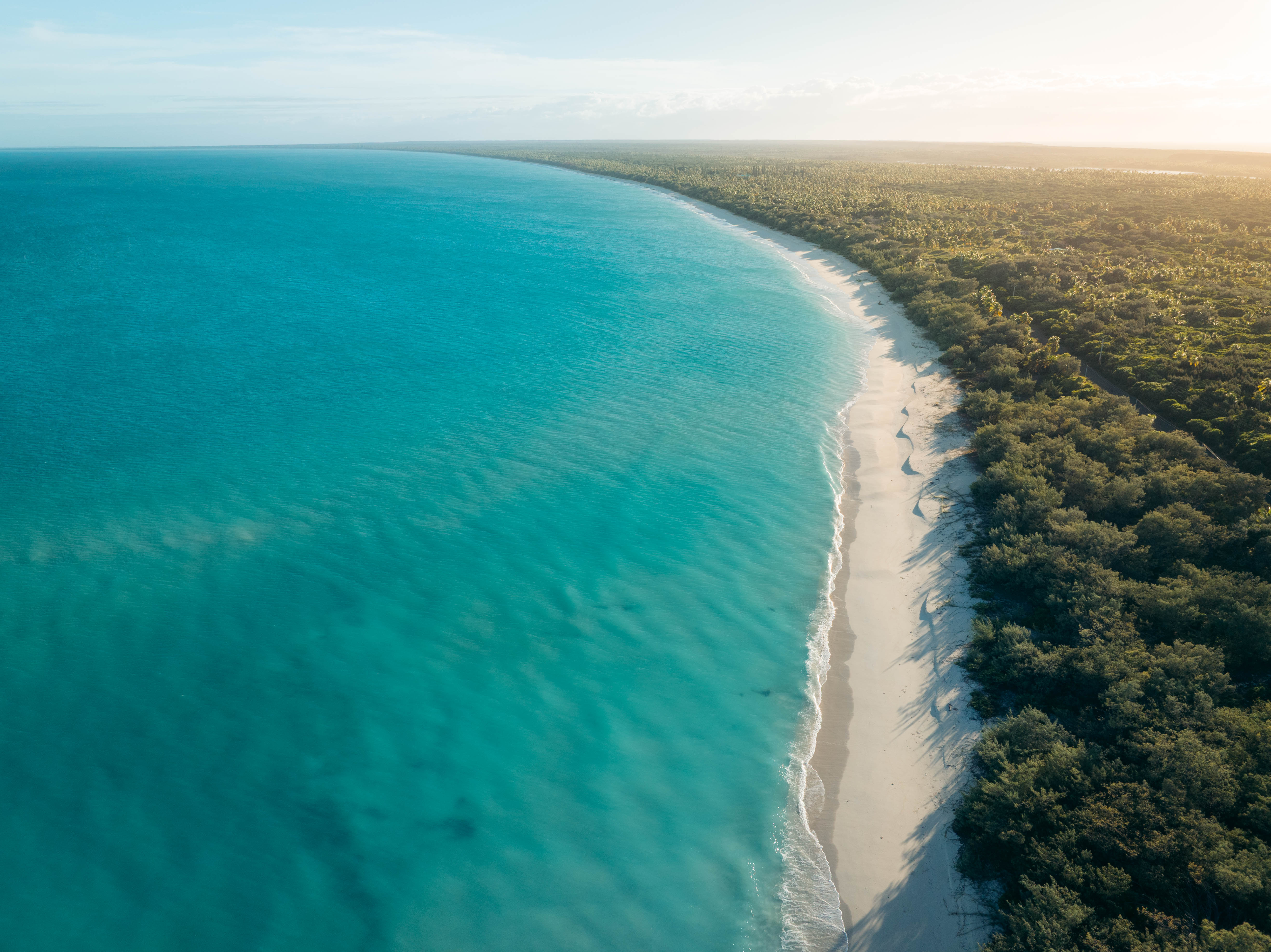 New Caledonia print 1