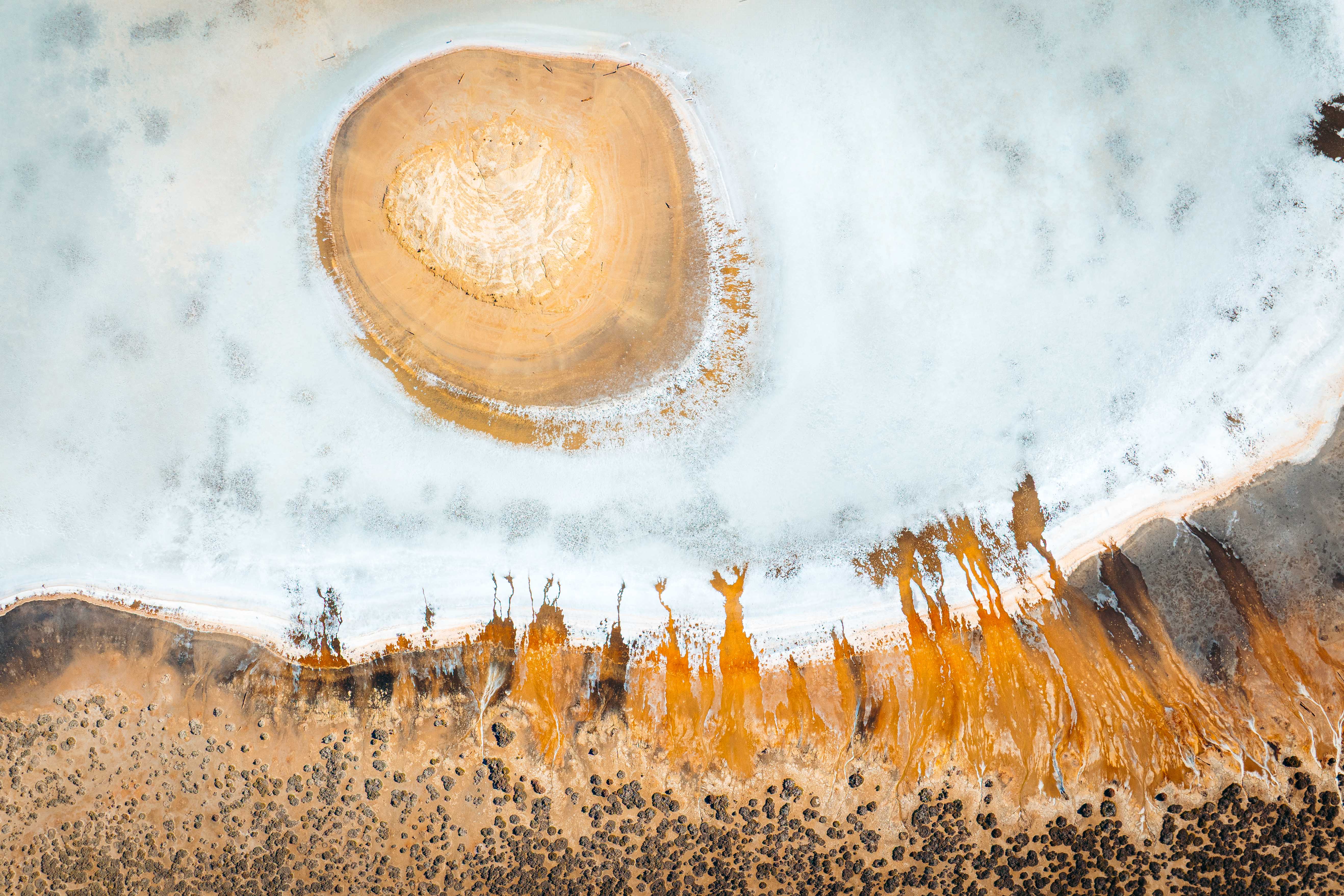 Abstract print 12